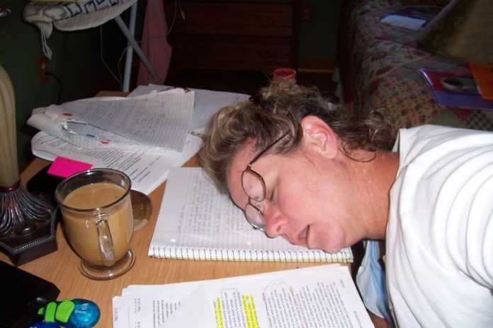 Study Papers Person Asleep
