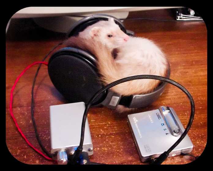 mouse and headphone