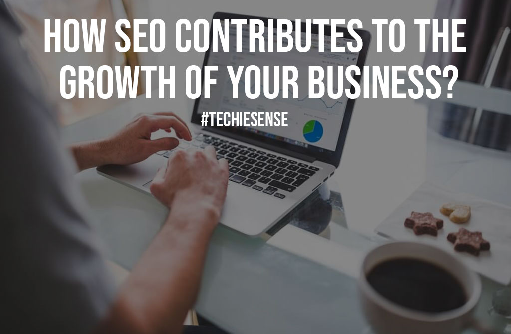 How SEO Contributes to the Growth of Your Business